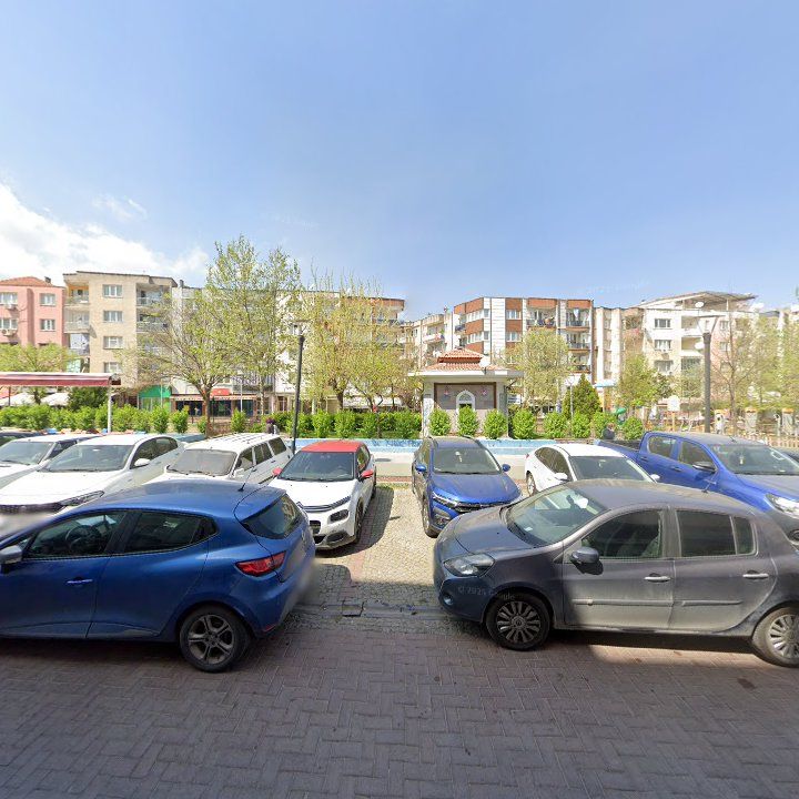 Fotoğraf 11