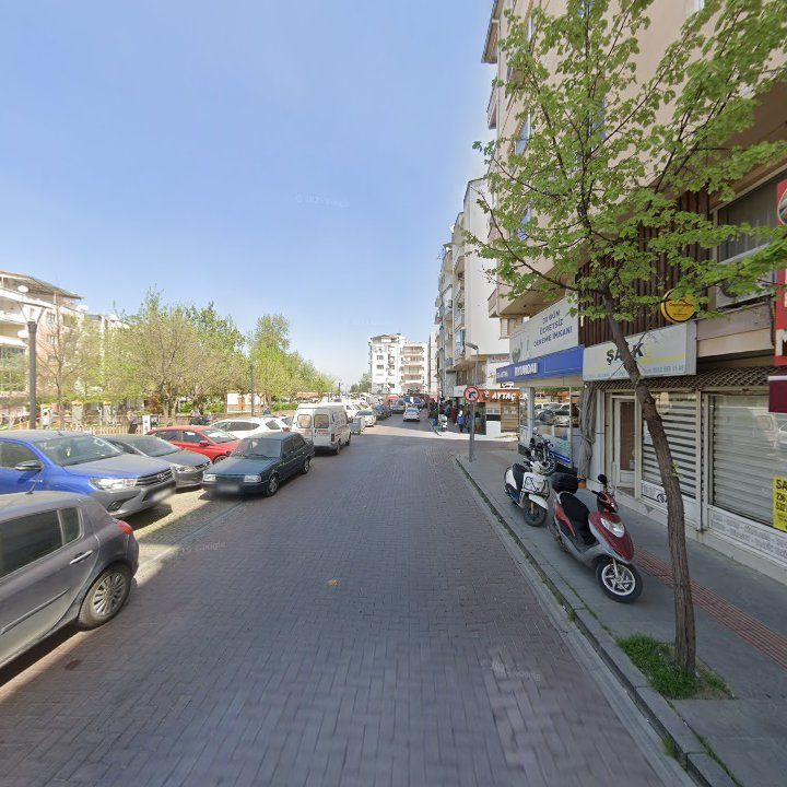 Fotoğraf 12
