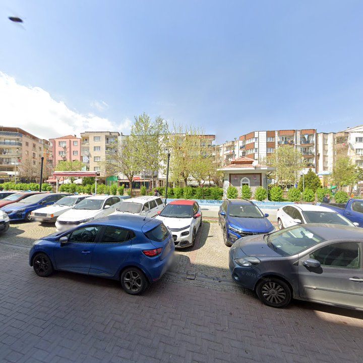 Fotoğraf 12