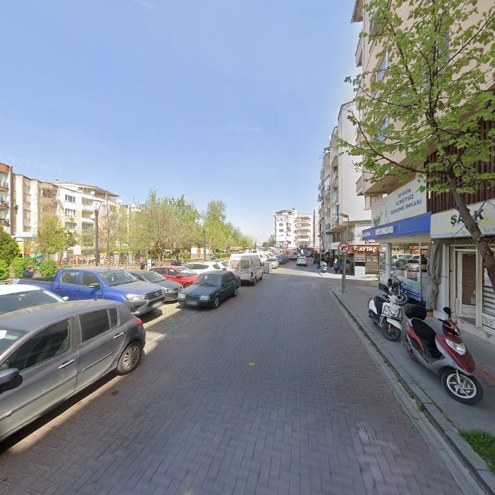 Fotoğraf 13