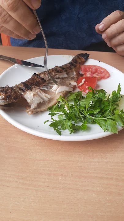 Fotoğraf 62