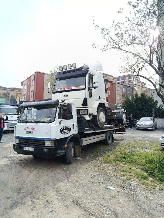 Fotoğraf 31