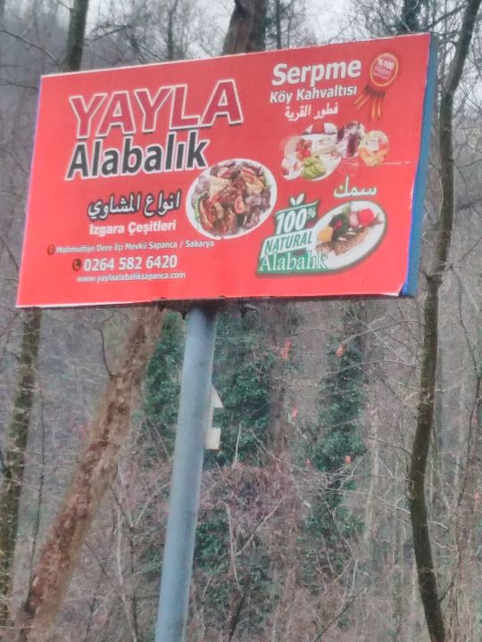 Fotoğraf 34