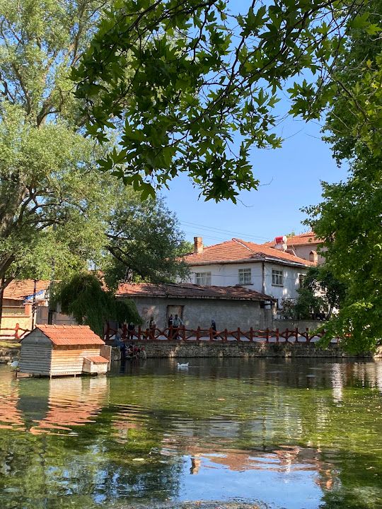 Yorum fotoğrafı 3