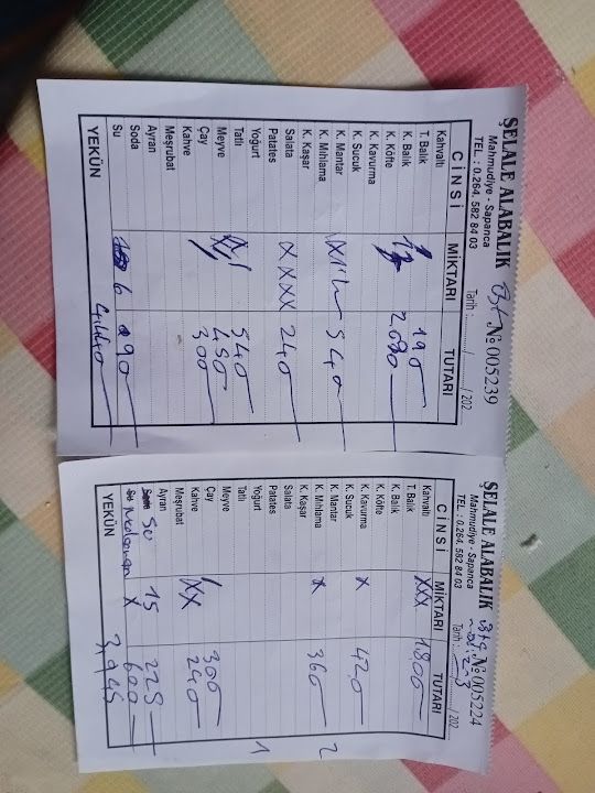 Yorum fotoğrafı 2