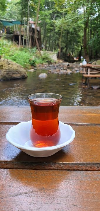 Fotoğraf 15