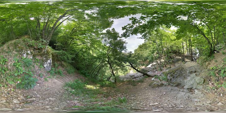Fotoğraf 17