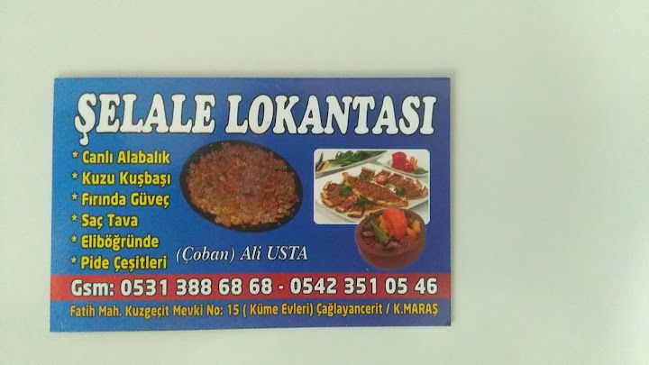 Fotoğraf 16