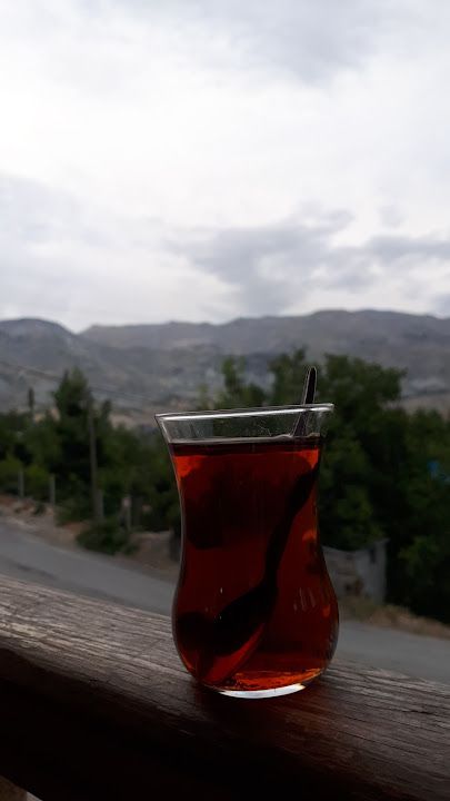 Fotoğraf 21