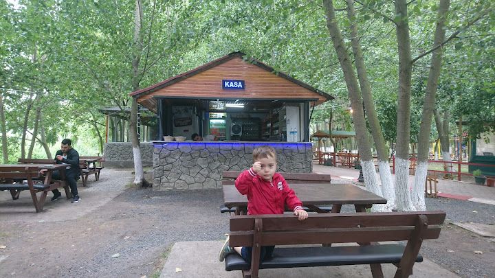 Fotoğraf 8