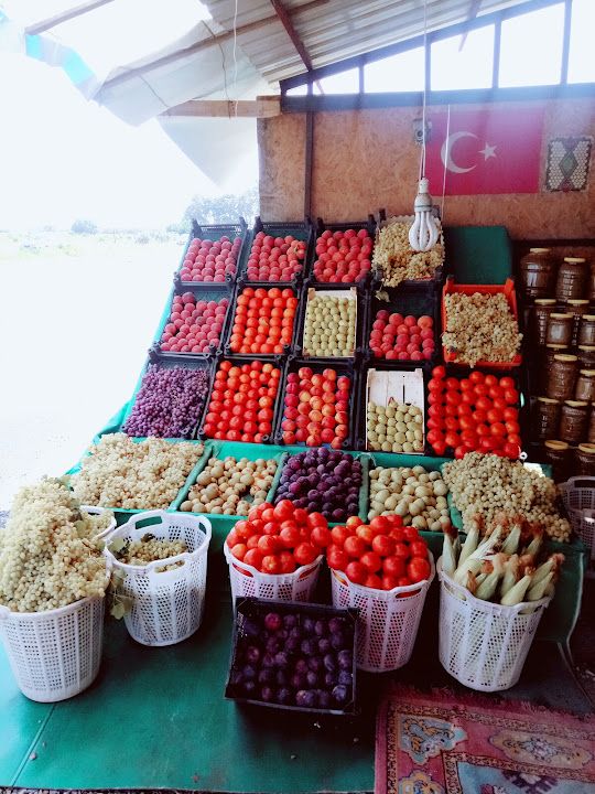 Fotoğraf 11