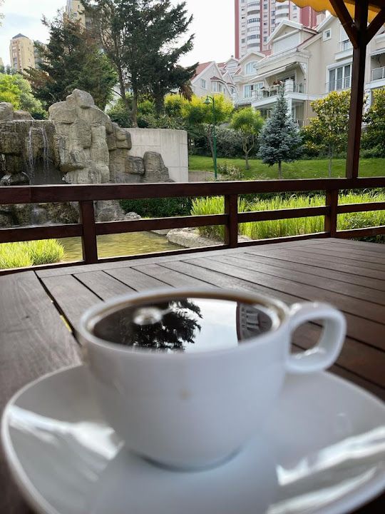 Fotoğraf 31