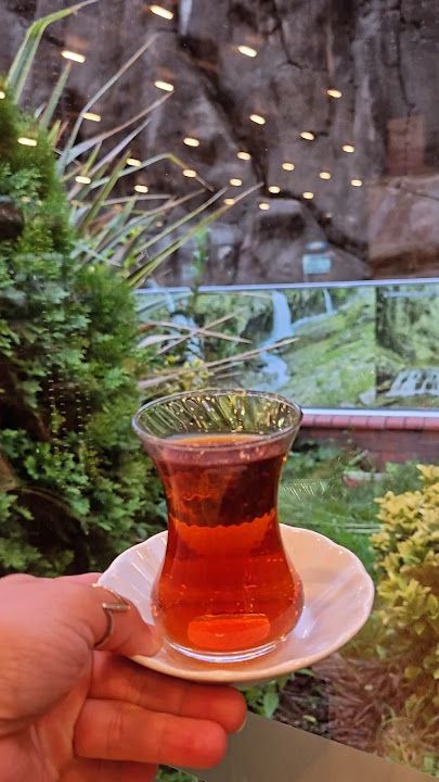 Fotoğraf 29