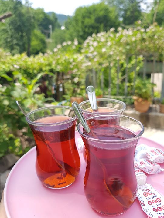 Fotoğraf 32