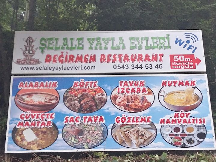 Fotoğraf 42