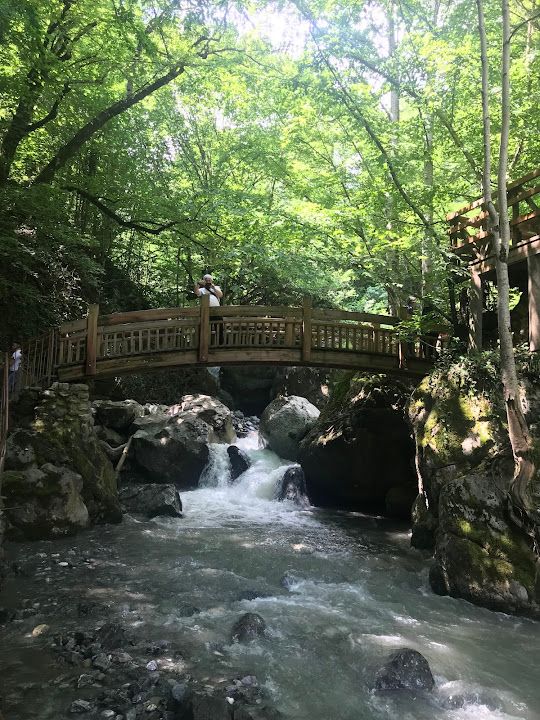Fotoğraf 50