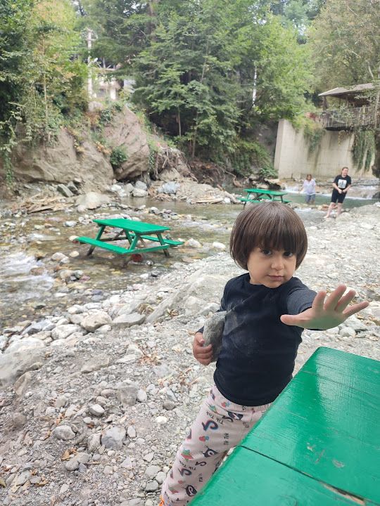 Fotoğraf 28