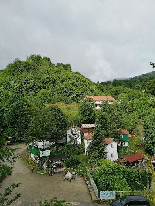 Fotoğraf 12