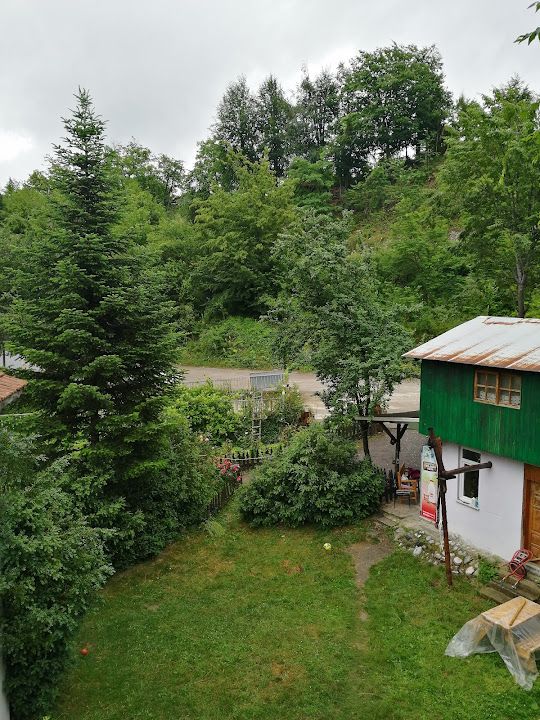Fotoğraf 14