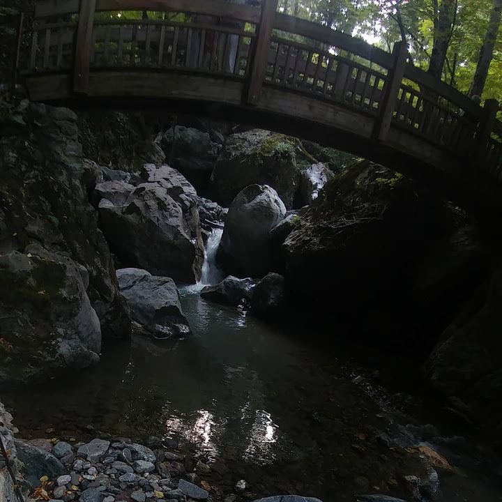 Fotoğraf 21