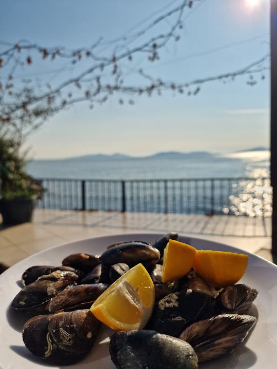 Fotoğraf 36
