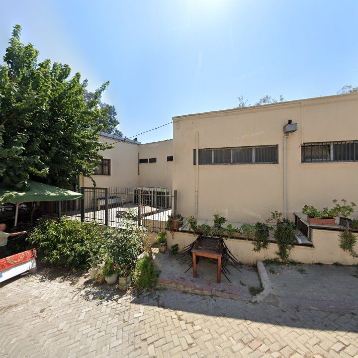 Fotoğraf 11