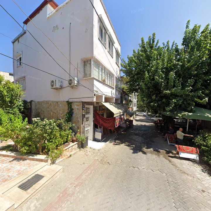 Fotoğraf 10