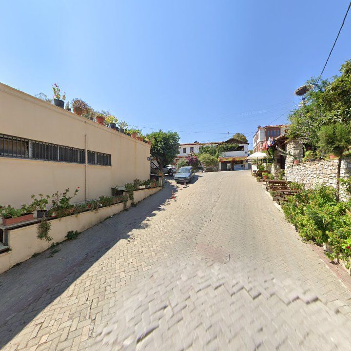 Fotoğraf 12