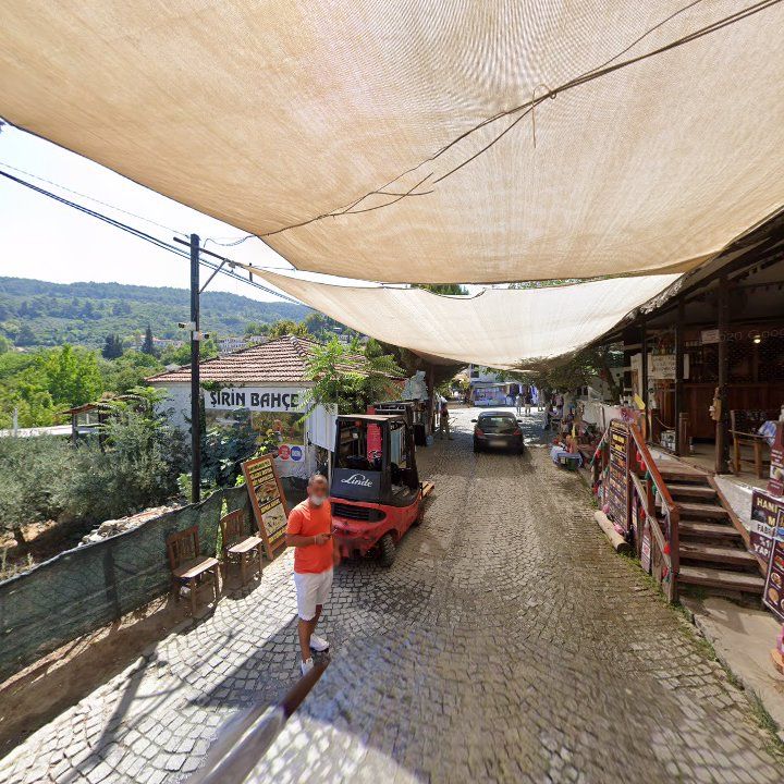Fotoğraf 10