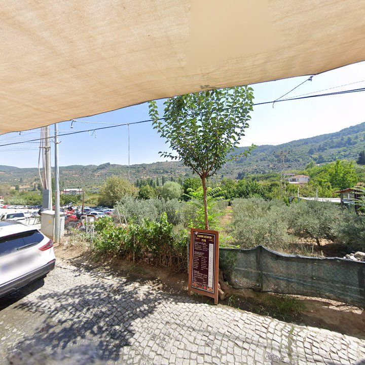 Fotoğraf 9