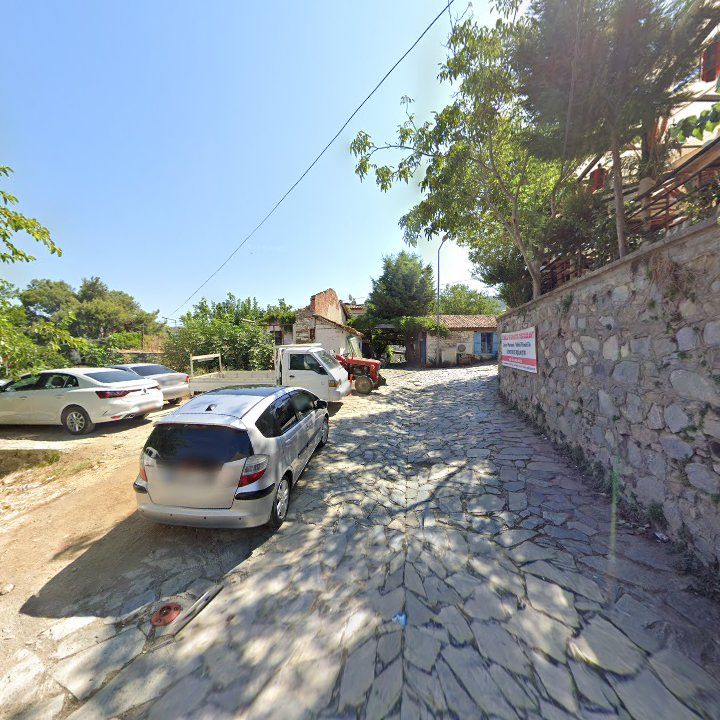 Fotoğraf 10