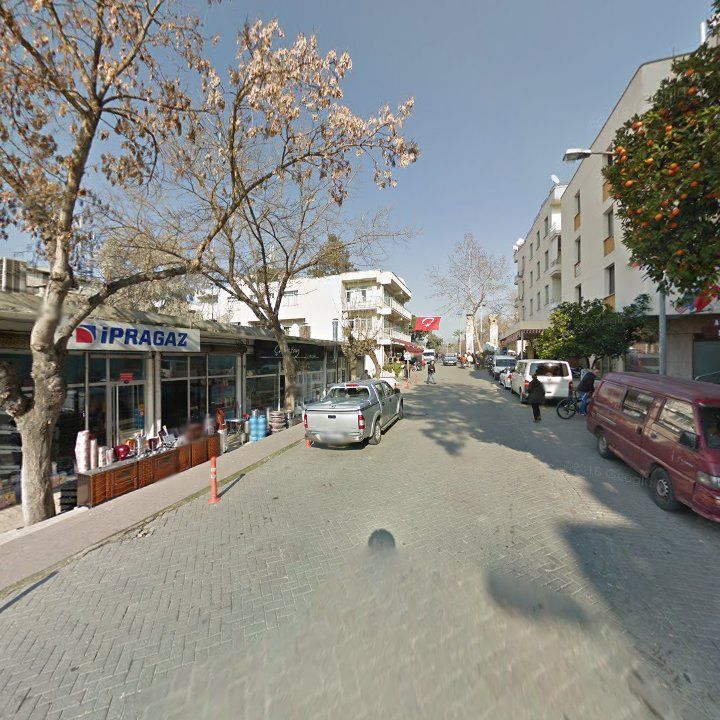 Fotoğraf 7