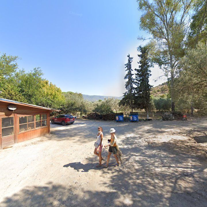 Fotoğraf 12