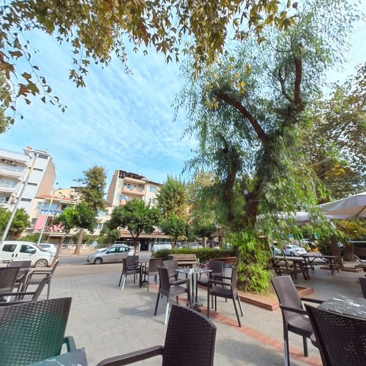 Fotoğraf 10