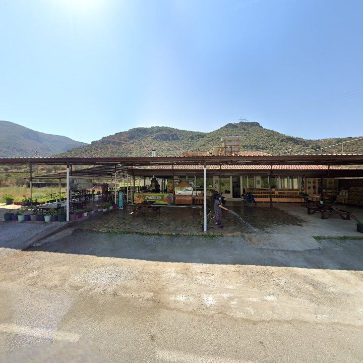 Fotoğraf 5