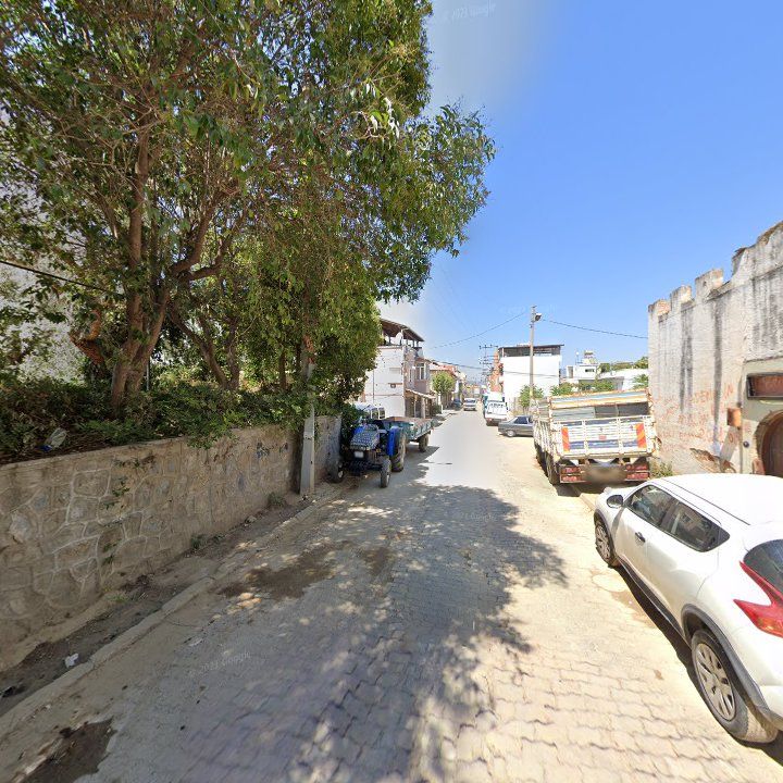 Fotoğraf 5