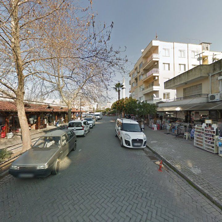 Fotoğraf 11