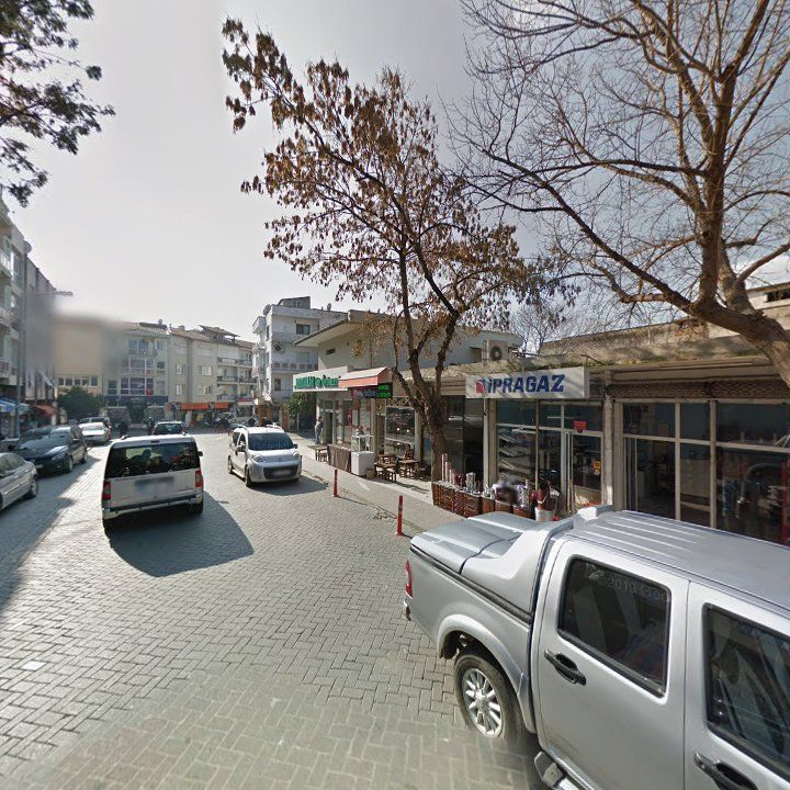 Fotoğraf 11