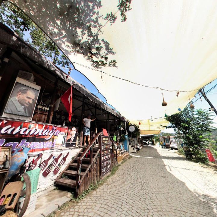 Fotoğraf 8