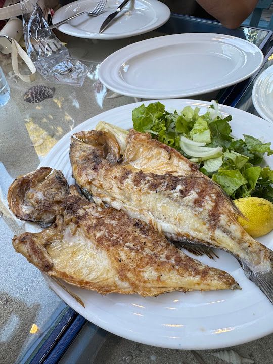 Fotoğraf 27