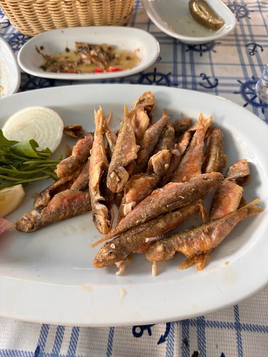 Fotoğraf 19