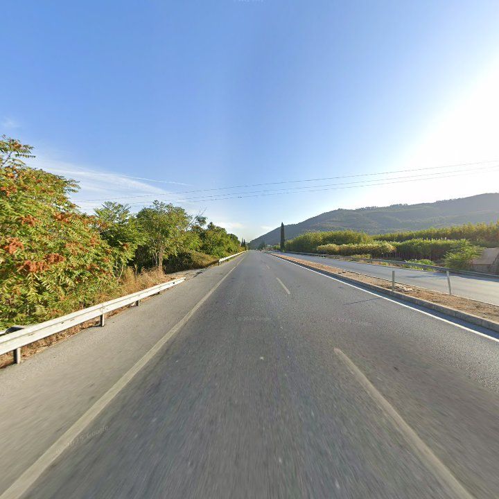 Fotoğraf 12