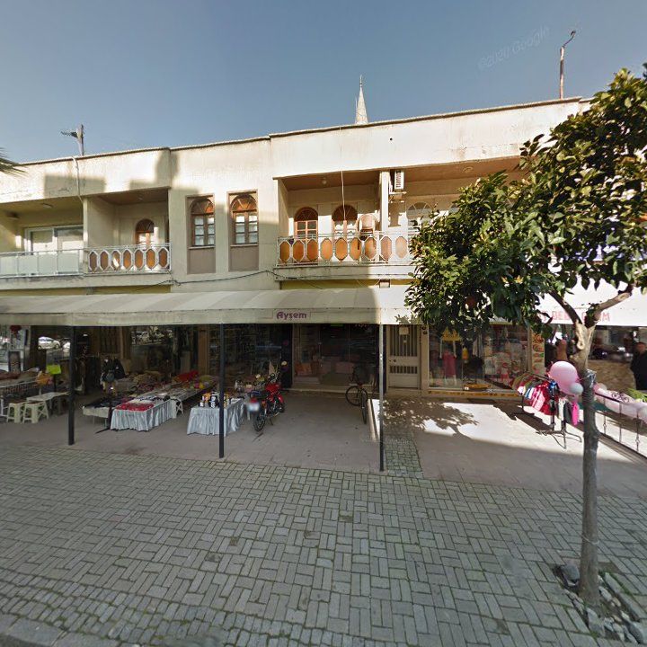 Fotoğraf 7
