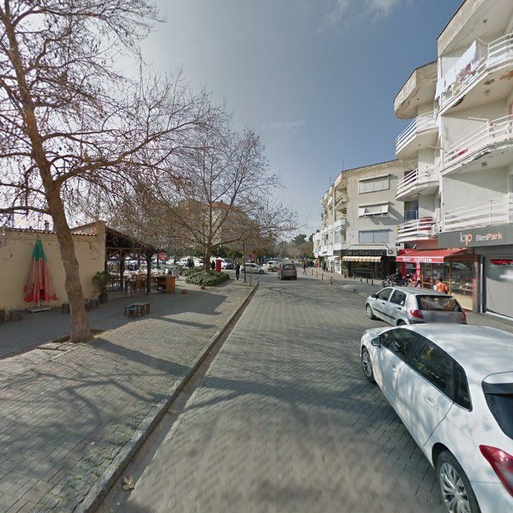 Fotoğraf 11