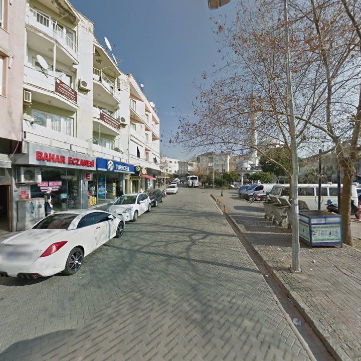 Fotoğraf 9