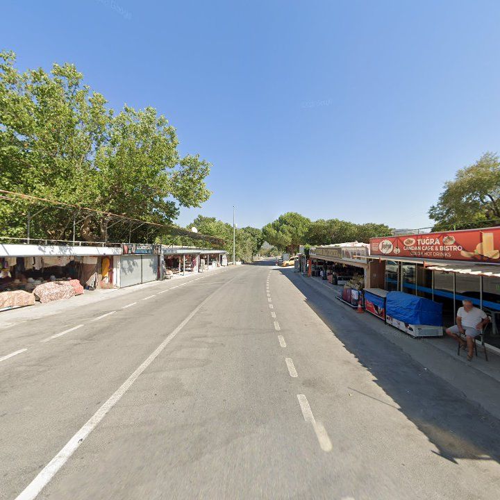 Fotoğraf 11