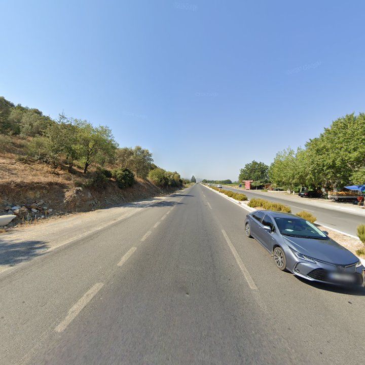 Fotoğraf 11