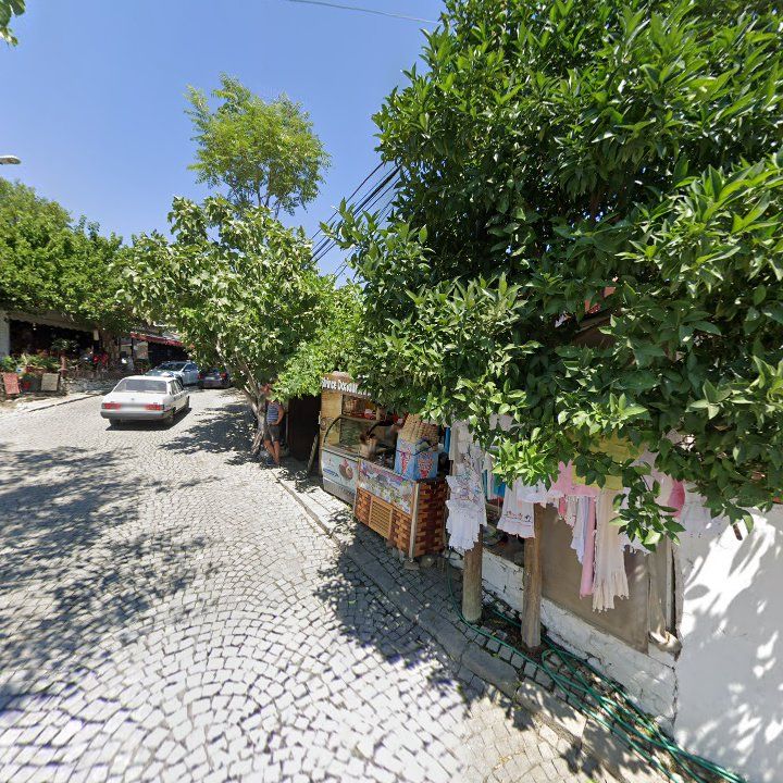 Fotoğraf 9