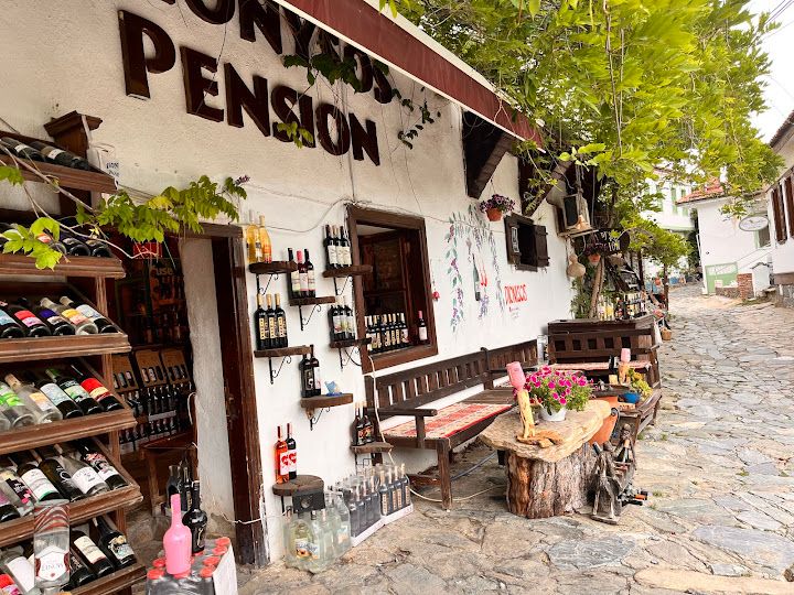 Dionysos şarap evi ve mahzeni