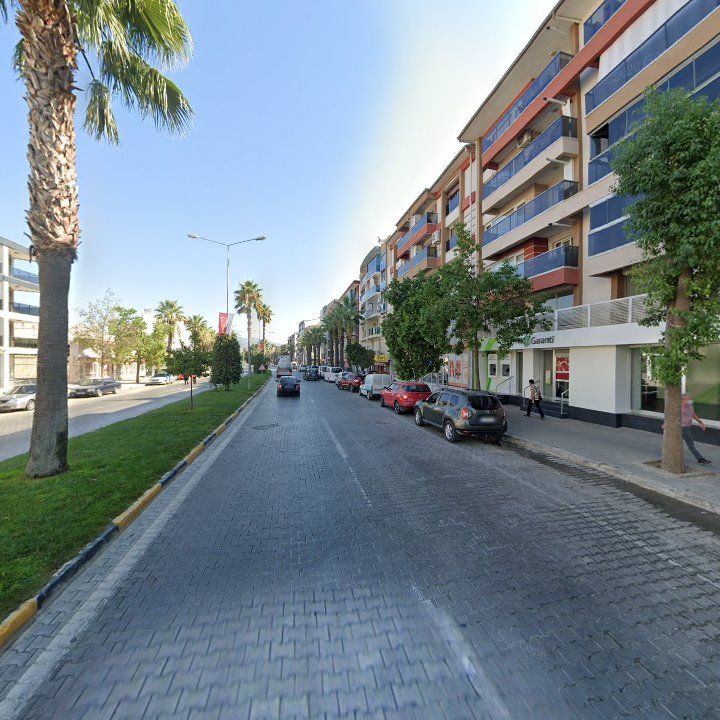 Fotoğraf 13